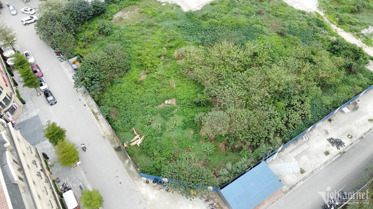 Ha Noi: Du an nha o xa hoi hang nghin m2 dang... ‘nuoi co’-Hinh-4
