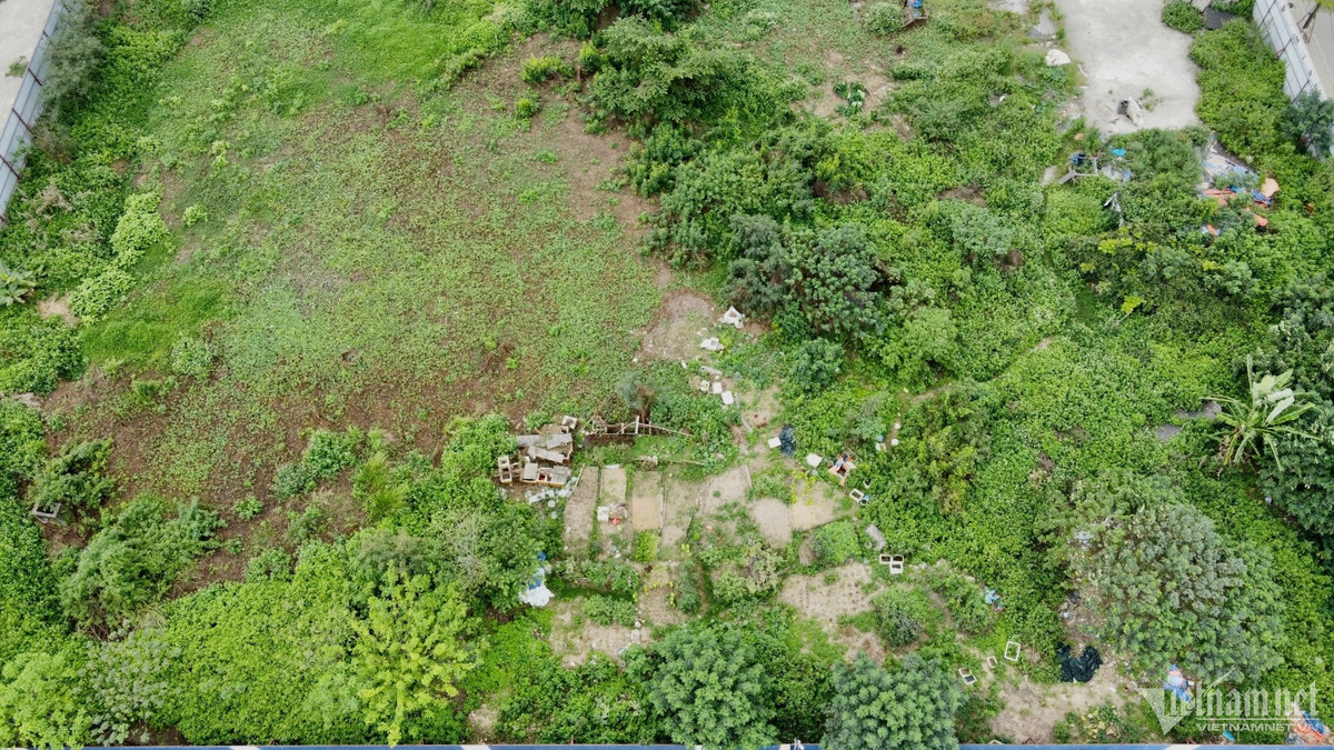 Ha Noi: Du an nha o xa hoi hang nghin m2 dang... ‘nuoi co’-Hinh-7