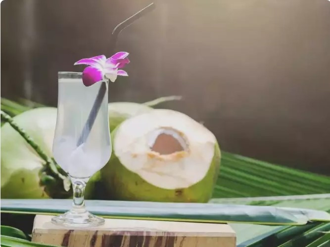 Giàu chất dinh dưỡng: Ngoài chất điện giải, nước dừa còn chứa vitamin, khoáng chất và chất chống oxy hóa, góp phần mang lại sức khỏe tổng thể. Những chất dinh dưỡng này có thể hỗ trợ các quá trình tự nhiên của cơ thể, bao gồm hydrat hóa và tiêu hóa.