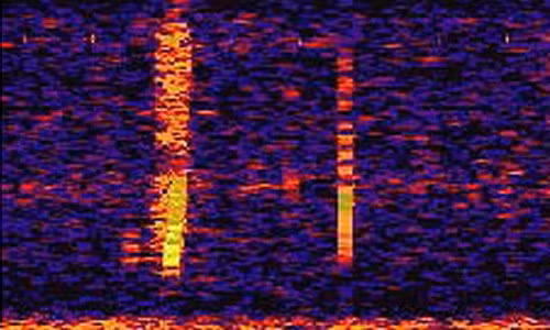 Point Nemo ở Nam Thái Bình Dương được coi là điểm xa xôi nhất trên Trái đất. Tại nơi này, vào năm 1997, Cơ quan Khí quyển và Đại dương Quốc gia Mỹ (NOAA) phát hiện một âm thanh bí ẩn.