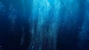 Được phát hiện bởi các thiết bị thủy âm đặt rải rác ở Thái Bình Dương, âm thanh "Bloop" là một trong số những âm thanh lớn nhất từng được ghi nhận dưới nước.