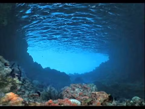 Sau khi thu được âm thanh "Bloop" bí ẩn, các chuyên gia, nhà khoa học đã nhanh chóng bắt tay vào nghiên cứu nhằm tìm ra "thủ phạm" tạo ra tiếng ồn đó.