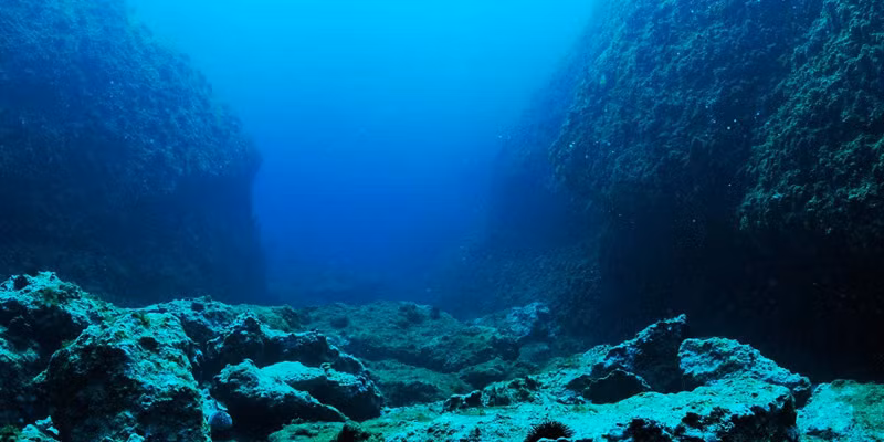 Âm thanh "Bloop" lớn đến mức thiết bị thủy âm của NOAA đặt cách xa tới 4.800 km cũng thu nhận được.