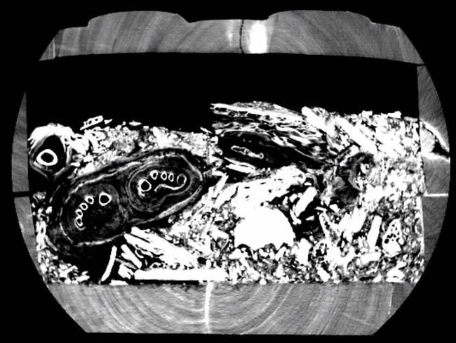 Vào mùa hè năm 2017, các chuyên gia tại Viện Bảo tàng Nicholson quyết định kiểm tra cỗ quan tài bằng các phương pháp hiện đại, bao gồm quét CT.