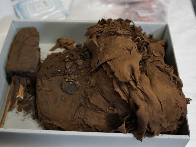 Nhờ đó, họ vô cùng bất ngờ khi xem ảnh quét CT và phát hiện bên trong quan tài cổ là một xác ướp Ai Cập.