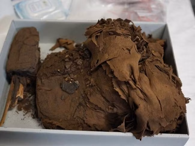 Nhờ đó, họ vô cùng bất ngờ khi xem ảnh quét CT và phát hiện bên trong quan tài cổ là một xác ướp Ai Cập.