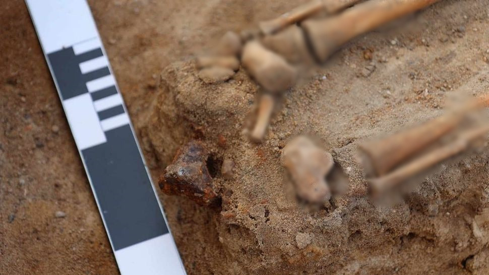 Tháng 6/2023, các công nhân làm đường ở làng Luzino, Đông Bắc Ba Lan tình cờ phát hiện ngôi mộ tập thể của 450 "ma cà rồng". Sau khi nhận được tin báo, các chuyên gia nhanh chóng tới hiện trường kiểm tra.