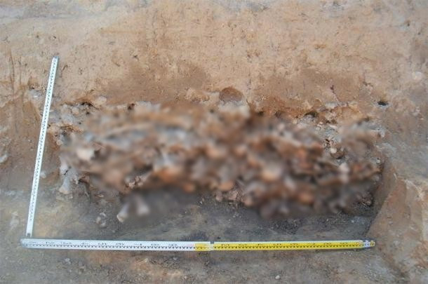 Theo nhóm khảo cổ, 450 thi hài trong ngôi mộ tập thể đều được chôn cất trong thế kỷ 19. Sau khi qua đời, họ không được chôn cất trong tư thế nằm ngửa như người bình thường.