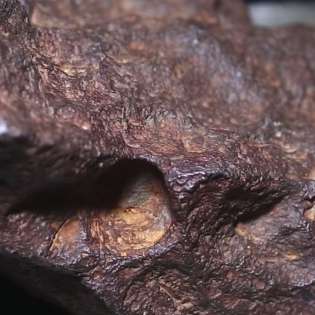 Được sự đồng ý của chủ trang trại, nhà địa chất Sirbescu thực hiện một loạt kiểm tra và xác nhận đó thực sự là một thiên thạch. Thêm nữa, đây là một trong những thiên thạch lớn nhất từng được tìm thấy ở Michigan. Nó có giá trị rất lớn cả về mặt tiền bạc và khoa học.