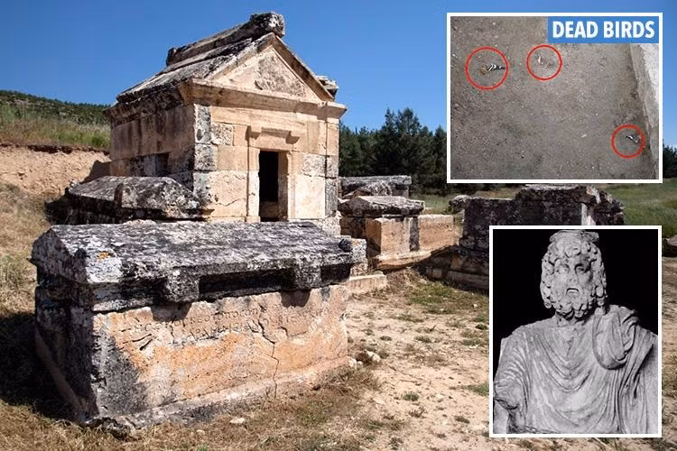 Trong một hang động dưới đền thờ thần Pluto, các chuyên gia đo được nồng độ khí CO2 lên đến 91% trong khi chỉ cần tỉ lệ 10% CO2 có thể gây nguy hiểm chết người. Theo đó, côn trùng, chim chóc và những loài động vật có vú, thậm chí con người có thể dễ dàng mất mạng nếu tiếp xúc với nồng độ khí CO2 cao như vậy.