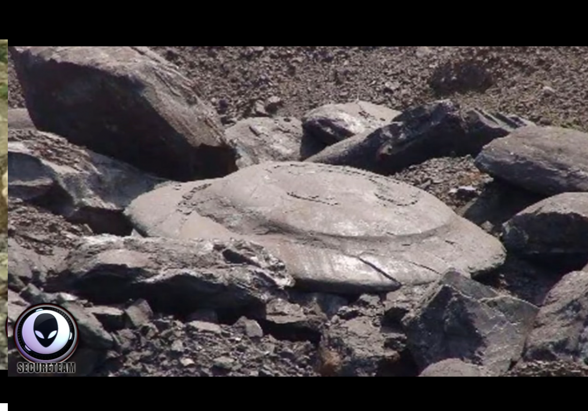 Tuy nhiên, những người đam mê UFO nhận định vật thể bí ẩn nặng khoảng 200 kg có nguồn gốc ngoài Trái đất.