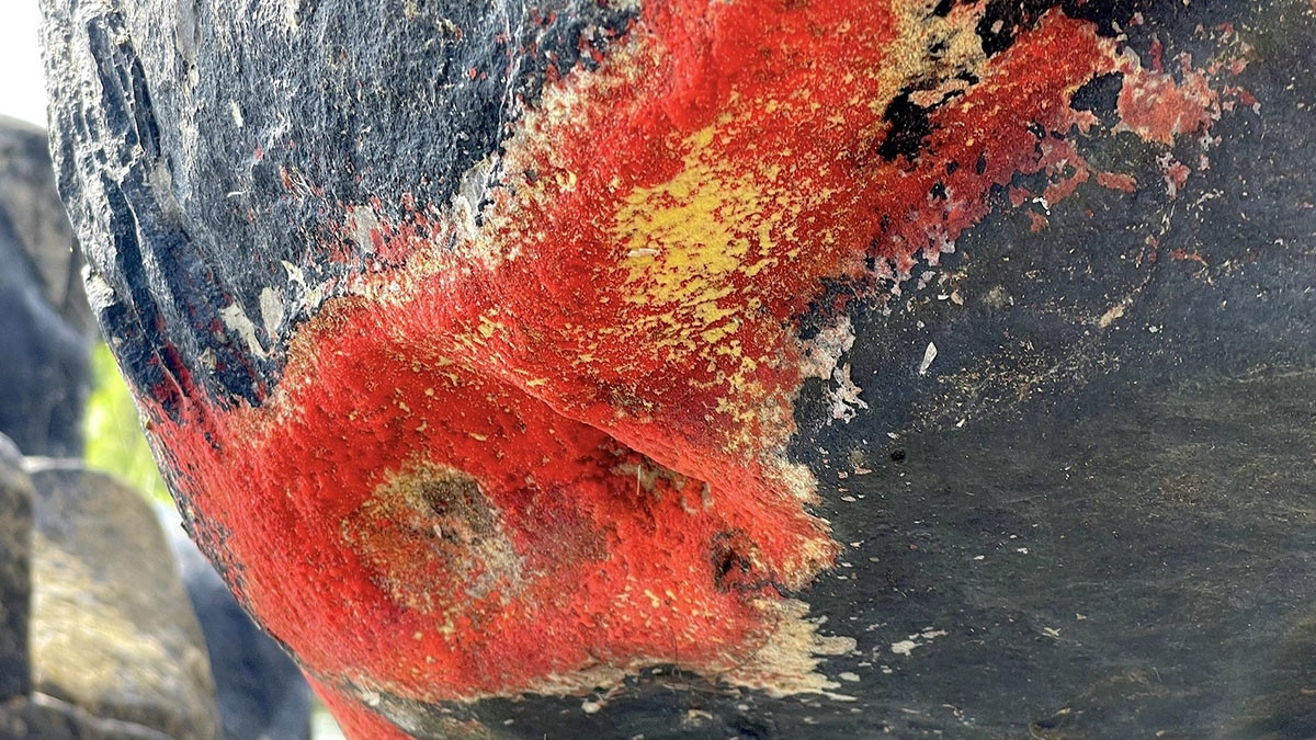 Trước sự việc này, người dân địa phương cho hay, hiện tượng "đá nở hoa" xuất hiện khoảng một tuần nay. Xung quanh khu vực này có rất nhiều tảng đá lớn nhưng chỉ có duy nhất một tảng đá “nở hoa”. Ảnh: Vietnamnet.