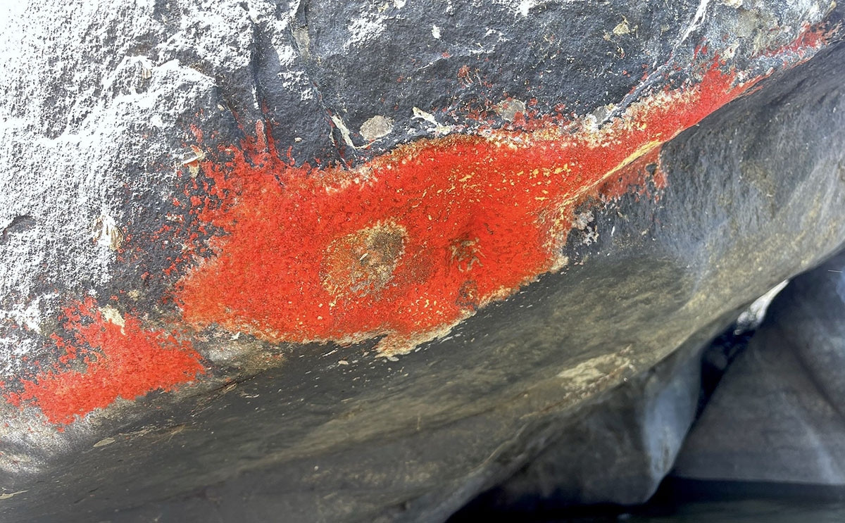 Ông Văn Chương thông tin thêm, màu sắc của "đá nở hoa" thay đổi liên tục. Khi mới xuất hiện, nó sẽ có màu đỏ. Thế nhưng, vài tiếng sau sẽ chuyển sang vàng, xanh, trắng… Hiện tượng "đá nở hoa" chỉ kéo dài trong khoảng từ 10 - 15 ngày. Lần gần nhất ghi nhận hiện tượng lạ này là vào năm 2018. Ảnh: Vietnamnet.