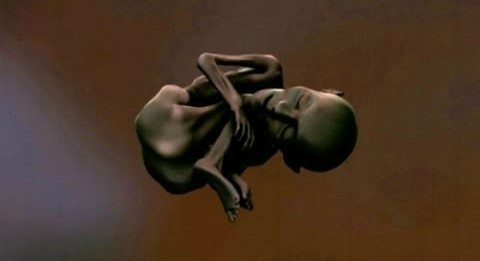 Ông Mori đã phát hiện những vết tích của nơi trú ẩn trong Uan Muhuggiagy dưới dạng nghệ thuật trên đá mô tả con người, động vật, gia súc và nhiều hình vẽ từ các thời kỳ khác nhau. Khi bắt đầu đào dưới nền cát mềm của hang động, ông bất ngờ phát hiện một chiếc bọc kỳ lạ được chôn gần bề mặt.