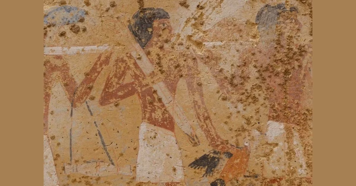 Stephan Seidlmayer là nhà khảo cổ học của Viện Khảo cổ học Đức và là người chỉ đạo cuộc khai quật tại địa điểm này cho hay, Seneb-Neb-Af có thể làm nhiệm vụ quản lý, quyết định ai sẽ được phép sống và làm việc ở cung điện. Ông có khả năng chịu trách nhiệm quản lý quỹ cho cộng đồng.