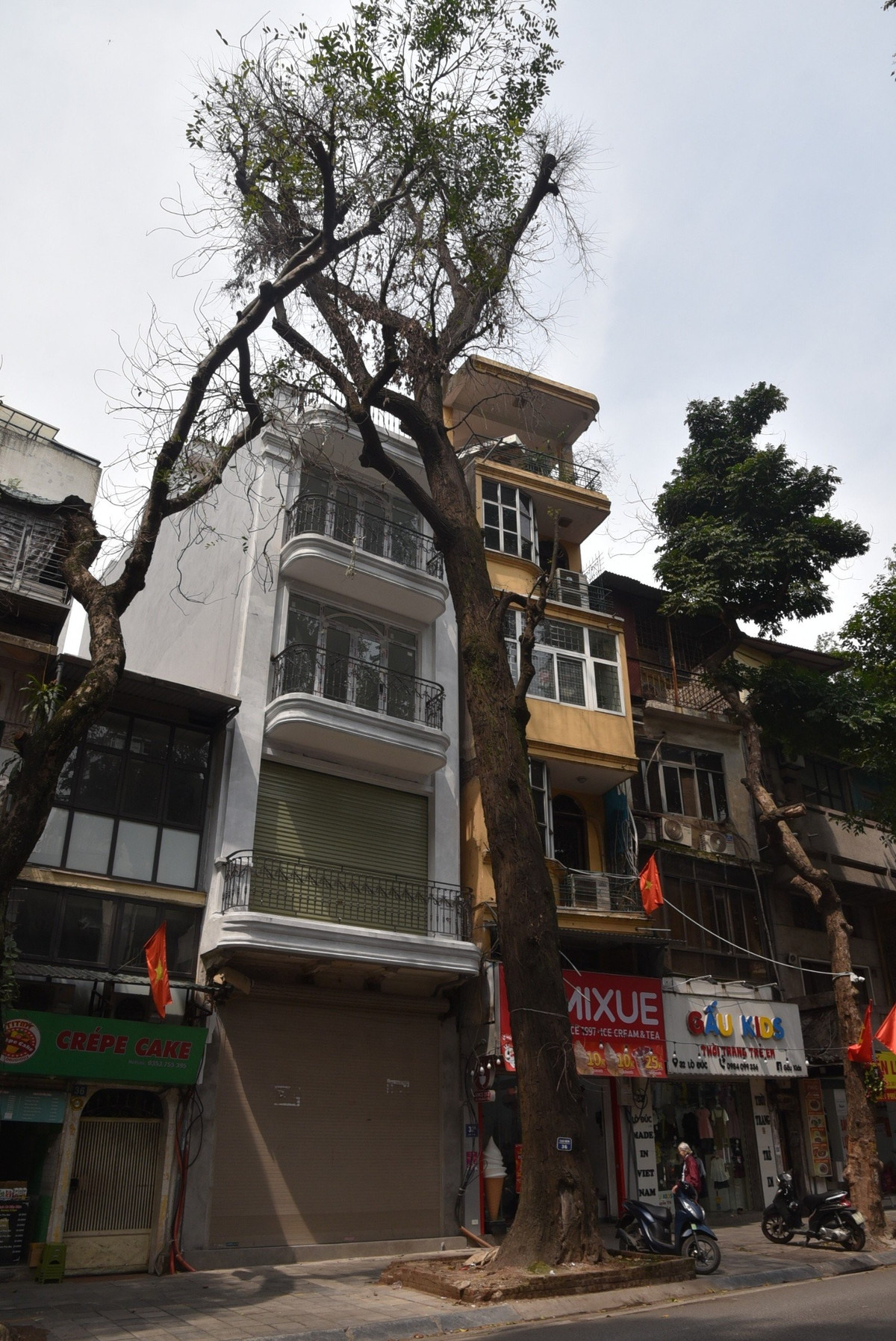 Trong những ngày qua, dư luận xôn xao trước thông tin 4 cây sao đen trên phố Lò Đúc (Hà Nội) nghi bị "bức tử". Những cây sao đen này có đường kính 80 cm, cao 18m, chết khô, mục ruỗng gốc và đang được lực lượng chức năng phường Phạm Đình Hổ điều tra nguyên nhân.