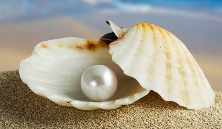 Theo ông Bacon, để "đánh bại" tử thần, người dân hãy uống rượu vang và hỗn hợp bột làm từ vàng, ngọc trai, san hô và xương hươu. Vị triết gia này còn khuyên mọi người ăn rắn vì nó rất tốt cho sức khỏe.