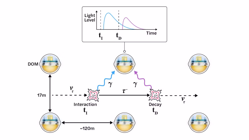 Những hạt tích điện này phát ra ánh sáng màu xanh dương khi di chuyển trong băng và DOM ghi lại ánh sáng của chúng. Các nhà nghiên cứu giải thích thêm rằng, khi hạt tau neutrino năng lượng cao tương tác với phân tử, chúng tạo ra sự phát xạ ánh sáng đặc trưng, bao gồm sự kiện kép với hai đỉnh ánh sáng mà DOM có thể phát hiện.