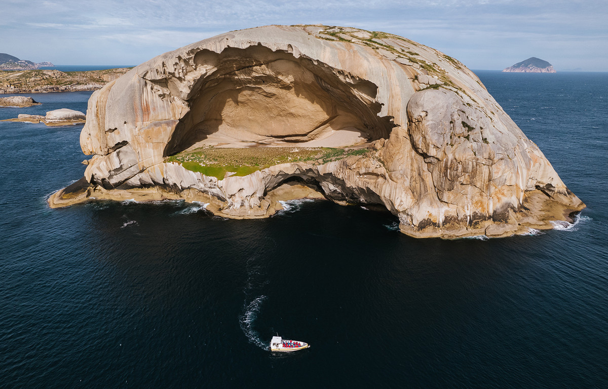 Theo nghiên cứu của các chuyên gia, đảo Skull Rock có hệ sinh thái phong phú với nhiều loại động, thực vật. Trong đó, đây là nơi trú ngụ của nhiều loài chim biển.