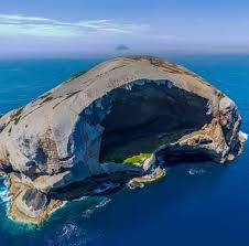 Các vách đá xung quanh đảo Skull Rock còn là nơi sinh sống của các loài rong biển, ốc biển và các sinh vật biển khác. Bên dưới đáy biển có nhiều rạn san hô tuyệt đẹp có màu sắc rực rỡ cùng nhiều loài cá ấn tượng.