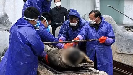 Lông mày và lông mi của người phụ nữ này vẫn còn nguyên, giống như mới qua đời cách đây không lâu.