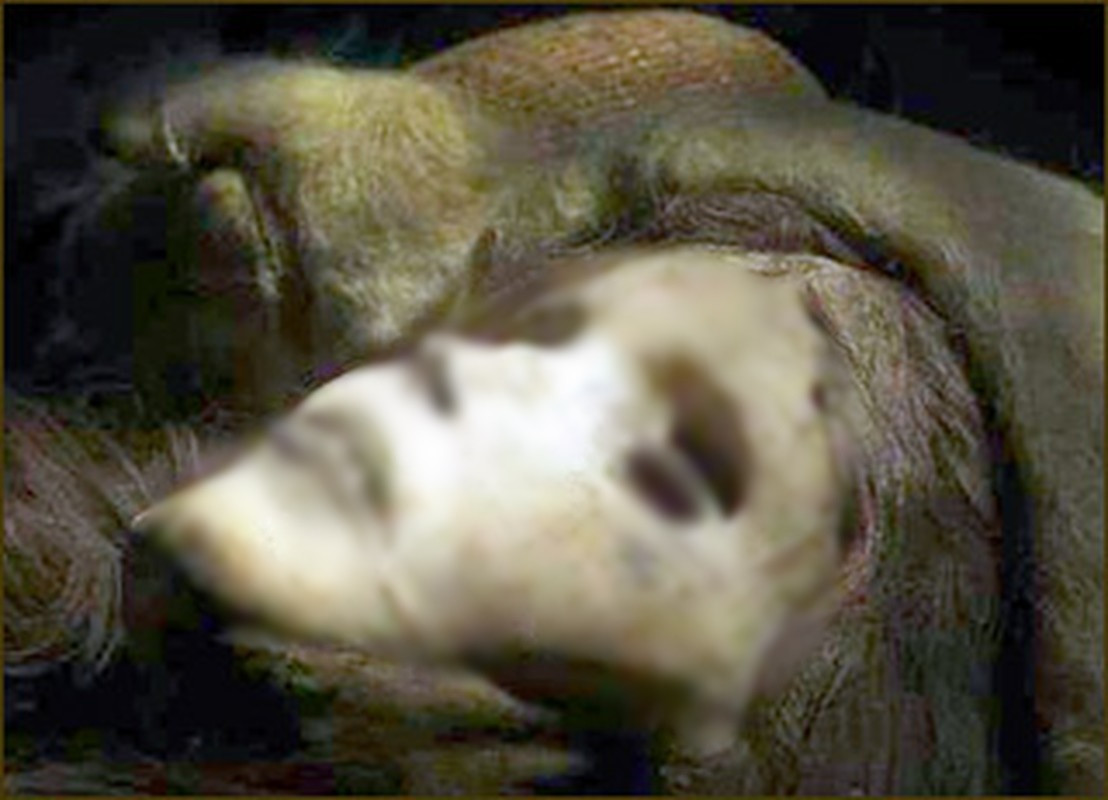 Sau khi mở tấm áo choàng ra, các nhà khảo cổ nhận thấy "công chúa Tiểu Hà" được bao phủ bởi một lớp chất bí ẩn màu trắng. Họ suy đoán đây có thể là chất bảo quản giúp thi hài mỹ nhân này nguyên vẹn theo thời gian.