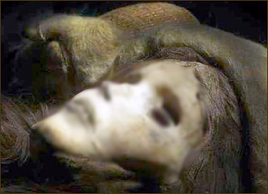 Sau khi mở tấm áo choàng ra, các nhà khảo cổ nhận thấy "công chúa Tiểu Hà" được bao phủ bởi một lớp chất bí ẩn màu trắng. Họ suy đoán đây có thể là chất bảo quản giúp thi hài mỹ nhân này nguyên vẹn theo thời gian.