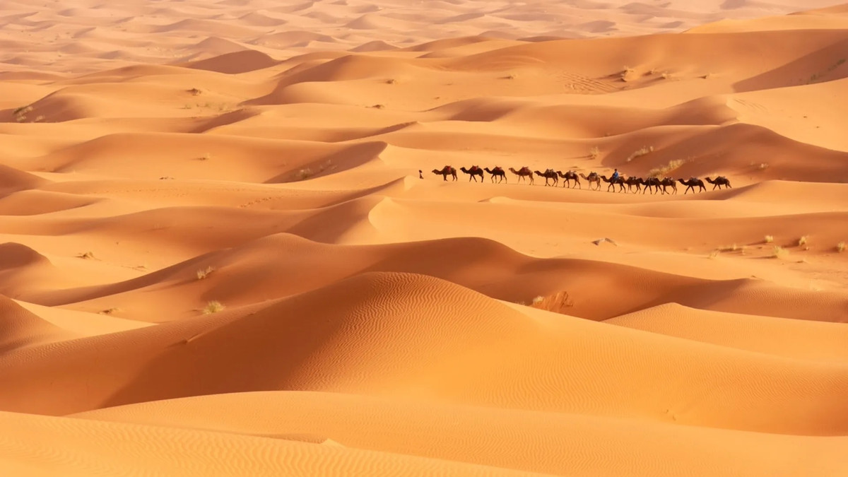 Họ cũng đào hào để lấy mẫu cát bị chôn vùi từ lâu. Thạch anh trong cát tích lũy bức xạ từ các nguồn tự nhiên trong Trái đất khi bị chôn vùi. Bằng cách chiếu tia laser lên thạch anh, các nhà nghiên cứu có thể đo bức xạ này và xác định thời điểm cuối cùng cát nhìn thấy bề mặt.