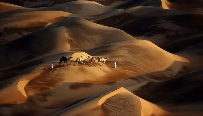 Để thu thập dữ liệu về cồn cát sao, ông Bristow và đồng tác giả nghiên cứu Geoff Duller của Đại học Aberystwyth và các đồng nghiệp đã sử dụng radar xuyên đất để có thể phát hiện những khác biệt nhỏ về kích thước hạt cát và hàm lượng nước bên dưới bề mặt cồn cát. Kỹ thuật này cho phép các nhà nghiên cứu xây dựng một bức tranh toàn cảnh về các lớp bên trong cồn cát.