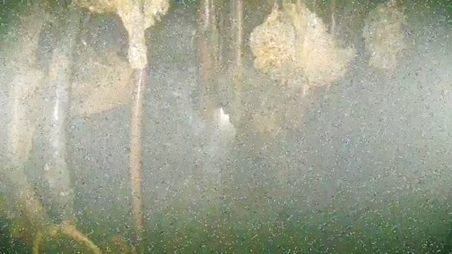 Những thông tin thu thập được từ việc quay phim, chụp ảnh bằng drone này có thể giúp ích cho những cuộc khảo sát mảnh vỡ nóng chảy trong tương lai để phát triển công nghệ và robot thu dọn. Do nhiều thông tin chưa thể xác định một cách rõ ràng về tình trạng bên trong lò phản ứng cho thấy việc dọn dẹp nhà máy Fukushima Dai-ichi vô cùng khó khăn.