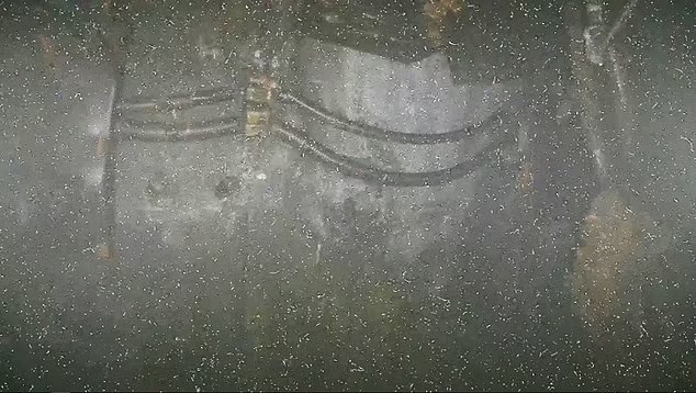 Chính phủ Nhật Bản và TEPCO từng đặt ra mục tiêu thu dọn nhà máy Fukushima Dai-ichi trong 30 - 40 năm và tiêu tốn hàng tỉ USD. Quá trình giải thể nhà máy Fukushima bị trì hoãn nhiều năm do những trở ngại kỹ thuật và thiếu dữ liệu.