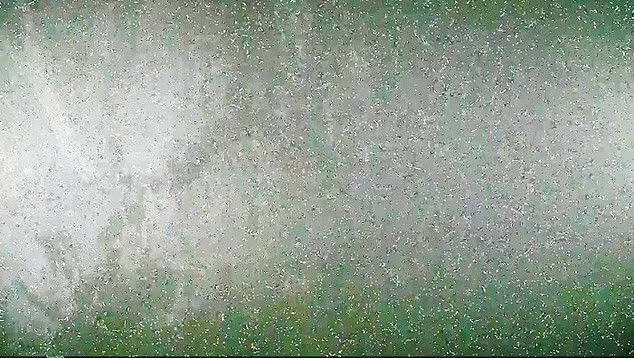 Thảm họa nghiêm trọng này đã làm tê liệt nhà máy điện Fukushima Dai-ichi, khiến hơn 160.000 cư dân phải sơ tán theo lệnh hoặc tự nguyện vì rò rỉ phóng xạ trong không khí. Sau khi xảy ra thảm họa, chính phủ Nhật Bản đã chi khoảng 300 tỉ USD để tái thiết khu vực bị sóng thần tàn phá. Các khu vực xung quanh nhà máy điện hạt nhân Fukushima Dai-ichi bị nhiễm phóng xạ nên nhiều người dân đã phải chuyển đến nơi khác sinh sống.