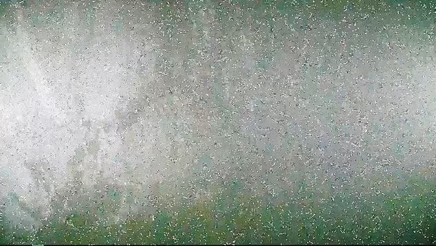 Thảm họa nghiêm trọng này đã làm tê liệt nhà máy điện Fukushima Dai-ichi, khiến hơn 160.000 cư dân phải sơ tán theo lệnh hoặc tự nguyện vì rò rỉ phóng xạ trong không khí. Sau khi xảy ra thảm họa, chính phủ Nhật Bản đã chi khoảng 300 tỉ USD để tái thiết khu vực bị sóng thần tàn phá. Các khu vực xung quanh nhà máy điện hạt nhân Fukushima Dai-ichi bị nhiễm phóng xạ nên nhiều người dân đã phải chuyển đến nơi khác sinh sống.