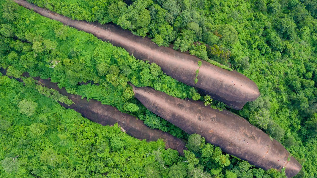 Đây hoàn toàn là sản phẩm của tạo hóa.