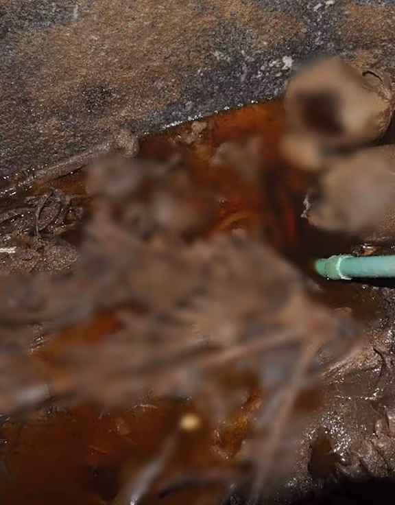 Theo các chuyên gia, chất lỏng có màu nâu đỏ như máu, bốc mùi khó chịu. Một số người nghi ngờ chất lỏng này có thể là nước ngầm ngấm vào bên trong quan tài hoặc đây là dung dịch bảo quản thi hài mà người xưa đổ vào.