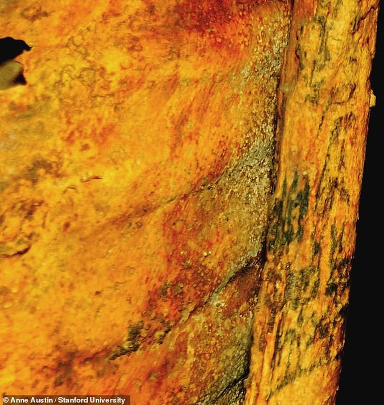 Theo các chuyên gia, người phụ nữ sống cách đây khoảng 3.000 năm đã xăm hình: hoa sen, con bò, khỉ đầu chó và rất nhiều cặp mắt wadjet (mắt quỷ) lên khắp cơ thể.