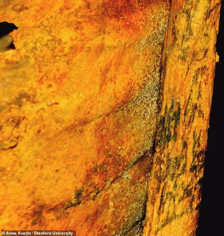 Theo các chuyên gia, người phụ nữ sống cách đây khoảng 3.000 năm đã xăm hình: hoa sen, con bò, khỉ đầu chó và rất nhiều cặp mắt wadjet (mắt quỷ) lên khắp cơ thể.