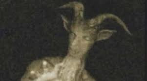 Người dê được các nhân chứng mô tả có vóc dáng giống con người nhưng có phần đầu giống dê. Quái vật này vô cùng cao lớn, khỏe mạnh nhưng rất hung ác.