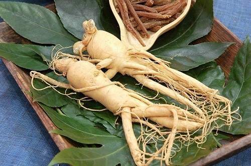 Nhờ bán củ nhân sâm nặng gần 100 kg, ông Lý có được một khoản tiền lớn và sống sung sướng, hạnh phúc bên gia đình mà không phải vất vả làm ruộng như xưa. Đồng thời, ông quyên góp một khoản tiền để làm quỹ từ thiện giúp đỡ những người có hoàn cảnh khó khăn trong làng.