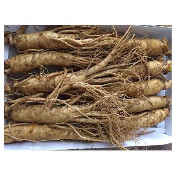Trong số những người tới nhà, một số đại gia đã hỏi mua củ nhân sâm của ông Lý. Trong đó, một người trả giá 870.000 Nhân dân tê (khoảng 3 tỷ đồng) nhưng ông Lý từ chối.