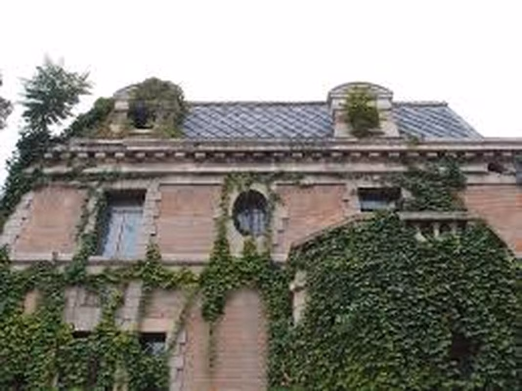 Dù không biết ngôi nhà số 81 có thực sự bị ma ám hay không nhưng không ít người tìm đến căn nhà này để trải nghiệm cảm giác "tim đập chân run", thậm chí giải mã những lời đồn bí ẩn về nơi này.