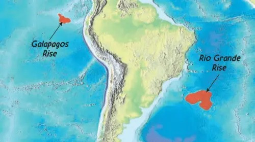 Nằm cách vùng ven biển Brazil 1.200 km, đảo Rio Grande Rise được bao phủ khoảng 150.000 km2 đáy biển và nằm ở độ sâu từ 700 - 2.000m.