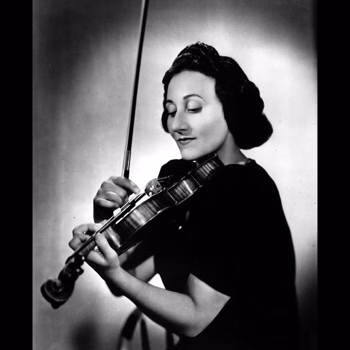 Theo hồ sơ của cảnh sát, kẻ trộm đã lẻn vào nhà của Erica ở New York, Mỹ rồi lấy đi cây đàn Stradivarius trị giá 3,5 triệu USD. Đây là một trong những vụ trộm lớn nhất thế giới.