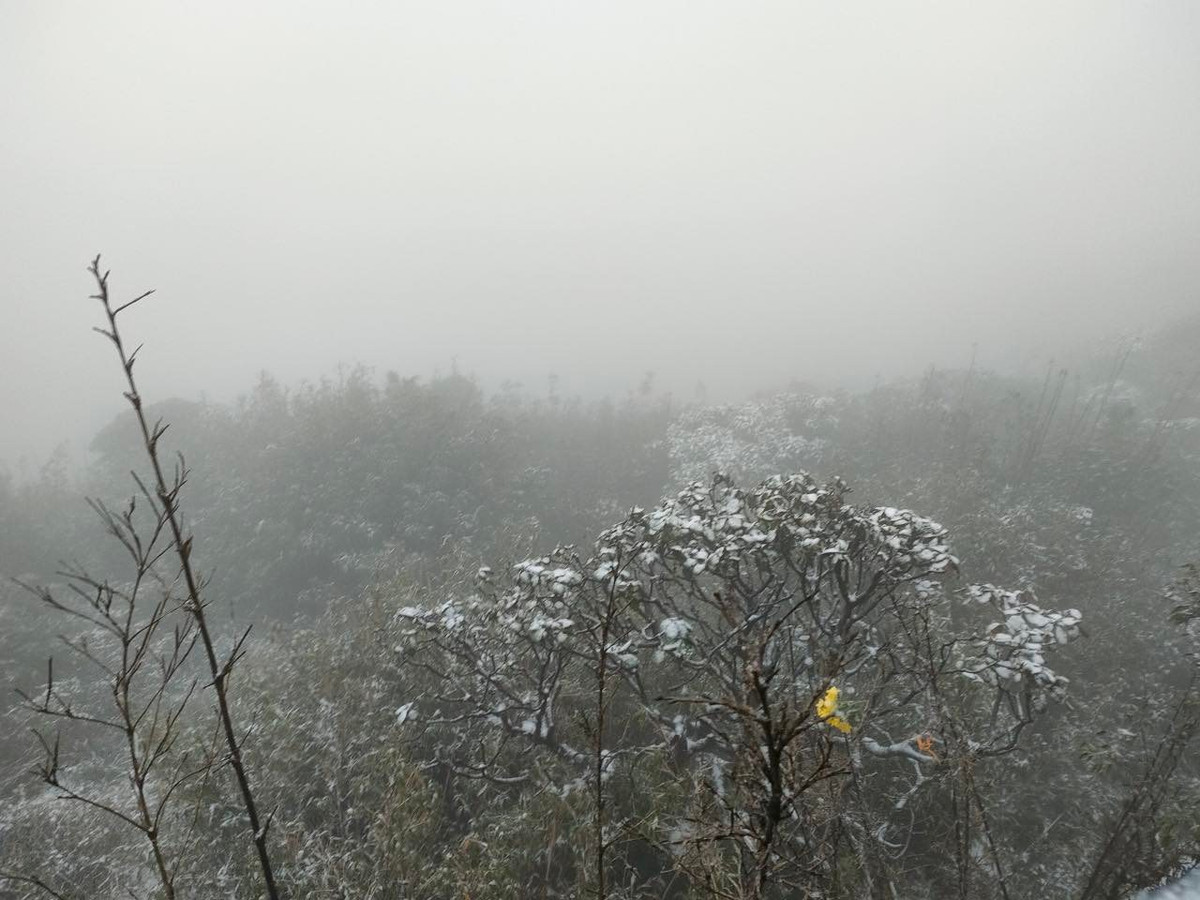 Tuyết rơi dày bao trùm cả một vùng không gian rộng lớn trên đỉnh Fansipan - nóc nhà Đông Dương.
