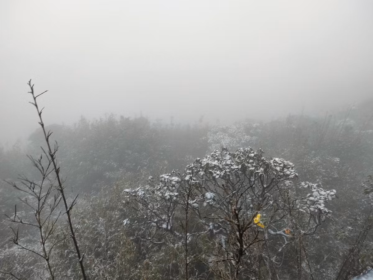 Tuyết rơi dày bao trùm cả một vùng không gian rộng lớn trên đỉnh Fansipan - nóc nhà Đông Dương.