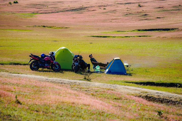Một trong những đồi cỏ hồng được giới trẻ check in nhiều là ở Masara, xã Tà Năng, huyện Đức Trọng, tỉnh Lâm Đồng. Ảnh: Phùng Quang Huy