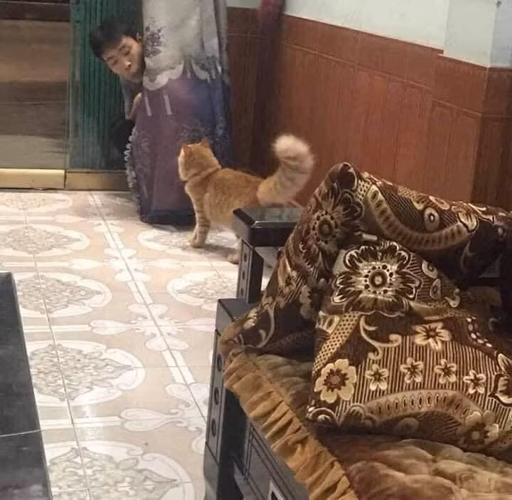 Ngay dưới bài viết, vô số bạn trẻ thuộc “team con nuôi” đã “thả nhẹ” các bình luận bày tỏ nỗi lòng.