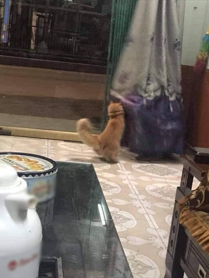 Hai người cứ thế nô đùa "quên trời quên đất", quên luôn sự hiện diện của đứa con xa quê mới trở về.