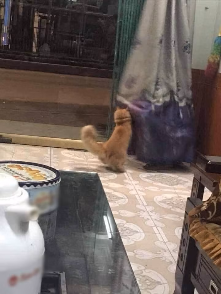 Hai người cứ thế nô đùa "quên trời quên đất", quên luôn sự hiện diện của đứa con xa quê mới trở về.