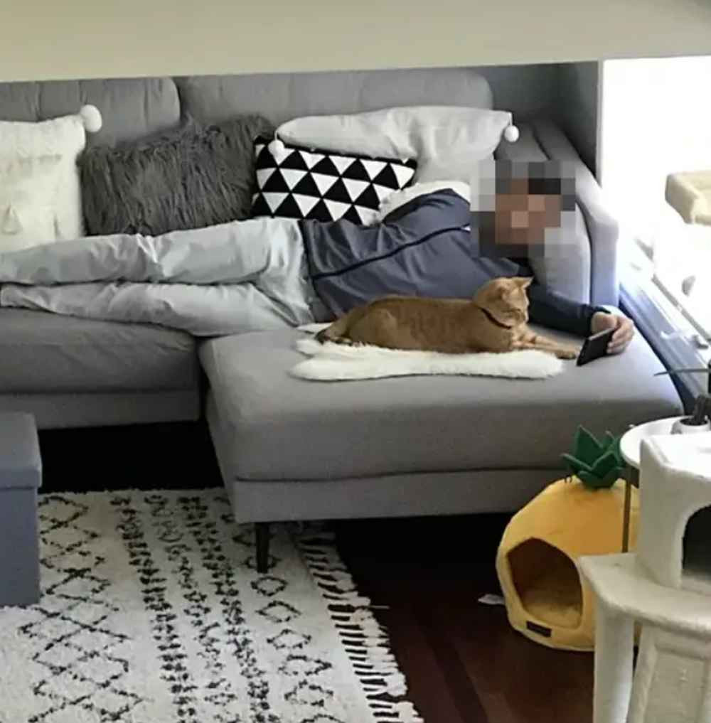 Thời gian thấm thoát thoi đưa, bỗng một ngày “con sen” than vãn về việc bản thân đã trở thành con nuôi trong mắt bố mẹ. Thậm chí là bị “ghẻ lạnh” khi các đấng sinh thành chỉ mãi chăm lo “bos chó mèo" hơn mình.